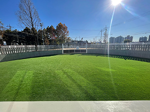 중구 반려견 에너지파크2