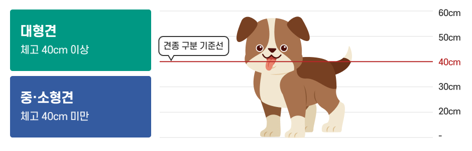 견종 구분 기준선 40cm이며, 대형견은 체고 40cm 이상, 중소형견은 40cm 미만입니다.
